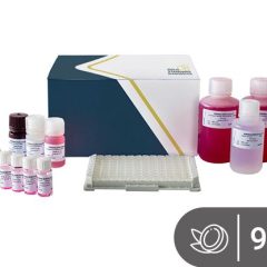 SENSISpec ELISA Coconut 96 wells