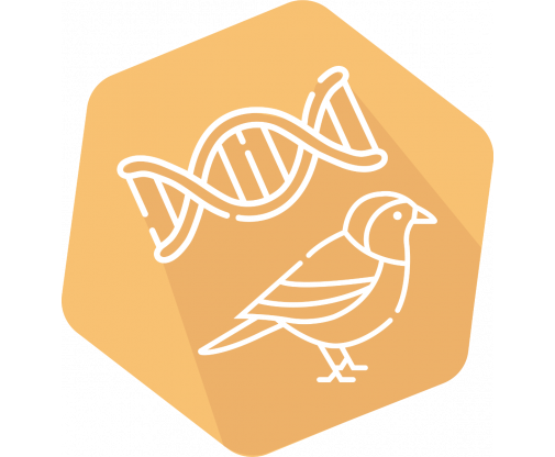 dna_bird_icon