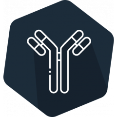 PCBs Higher Chlorinated, Calibrator Sets (1254, 1260, 1248, 1242, 1262, 1232, 1268, 1016, or 1221)