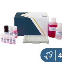 SENSISpec ELISA Fish (Parvalbumin) 48 Wells