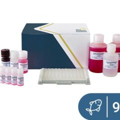 SENSISpec ELISA Fish (Parvalbumin) 96 Wells
