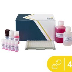 SENSISpec ELISA Lupin 48 Wells