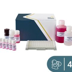 SENSISpec ELISA Lysozyme 48 Wells