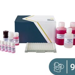 SENSISpec ELISA Lysozyme 96 Wells