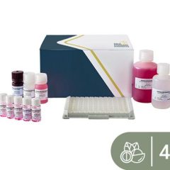SENSISpec ELISA Macadamia nut 48 Wells