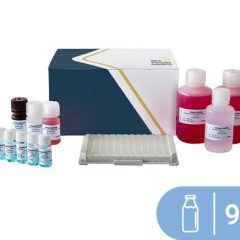 SENSISpec ELISA Milk 96 Wells