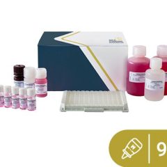 SENSISpec ELISA Mustard 96 wells