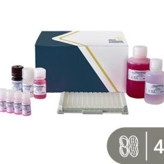 SENSISpec ELISA Peanut 48 wells