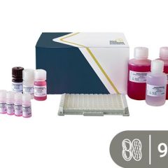 SENSISpec ELISA Peanut 96 wells