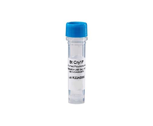 490031-bt-cry1f-antibody
