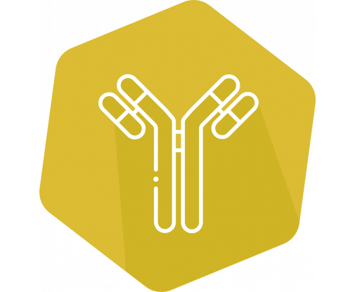 elisa_icon_gold_bzero_3