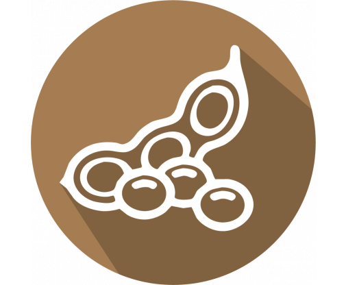 soy_light_brown_1_10